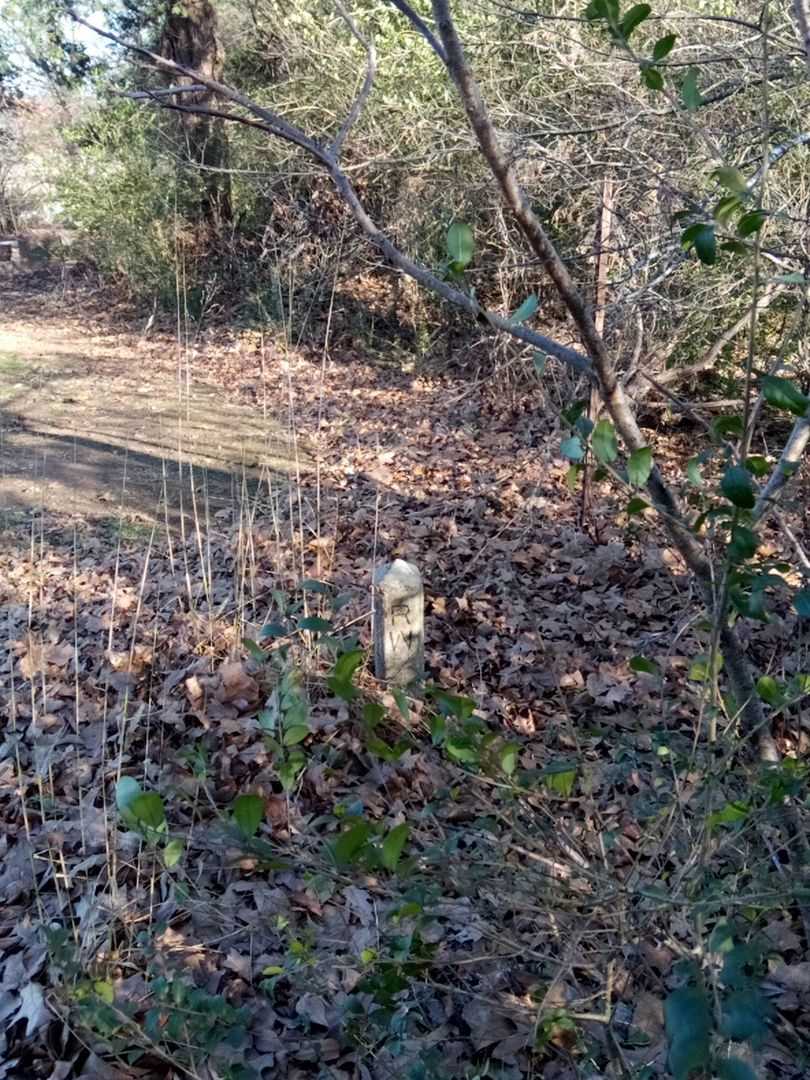R. W.'s grave. Photo 2