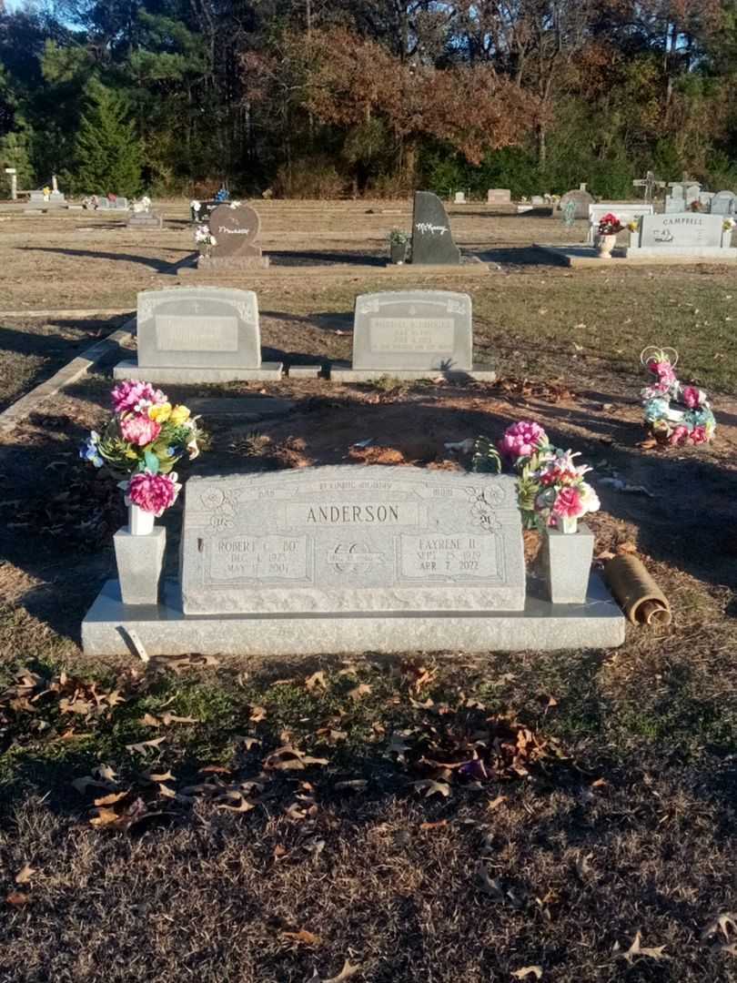 Fayrene H. Anderson's grave. Photo 2