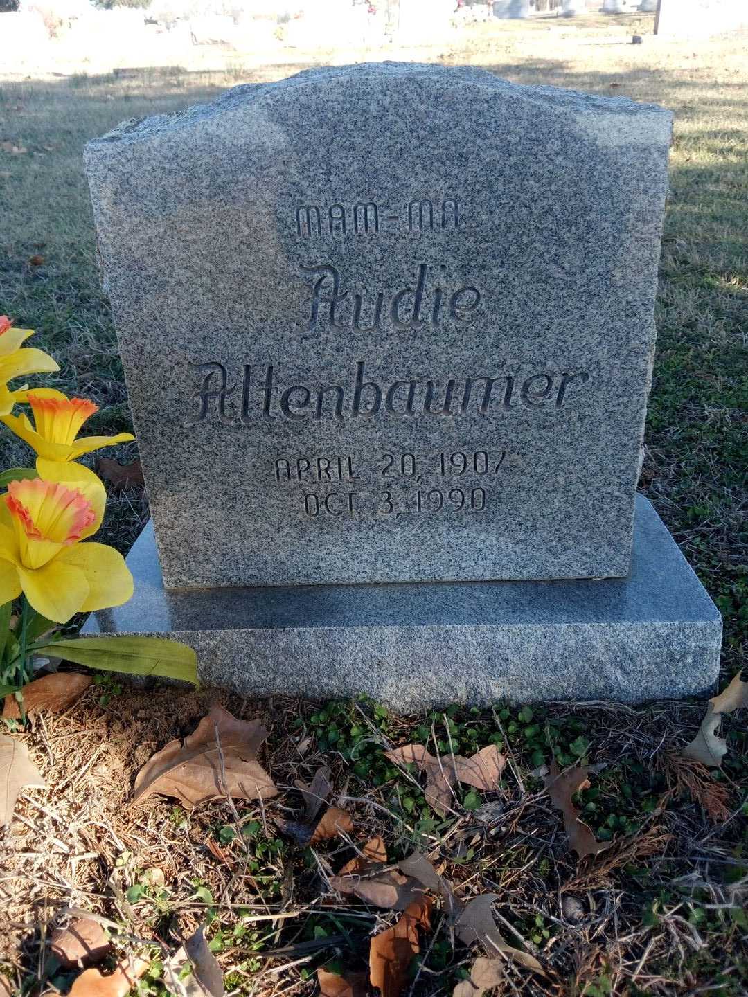 Audie Altenbaumer's grave. Photo 1