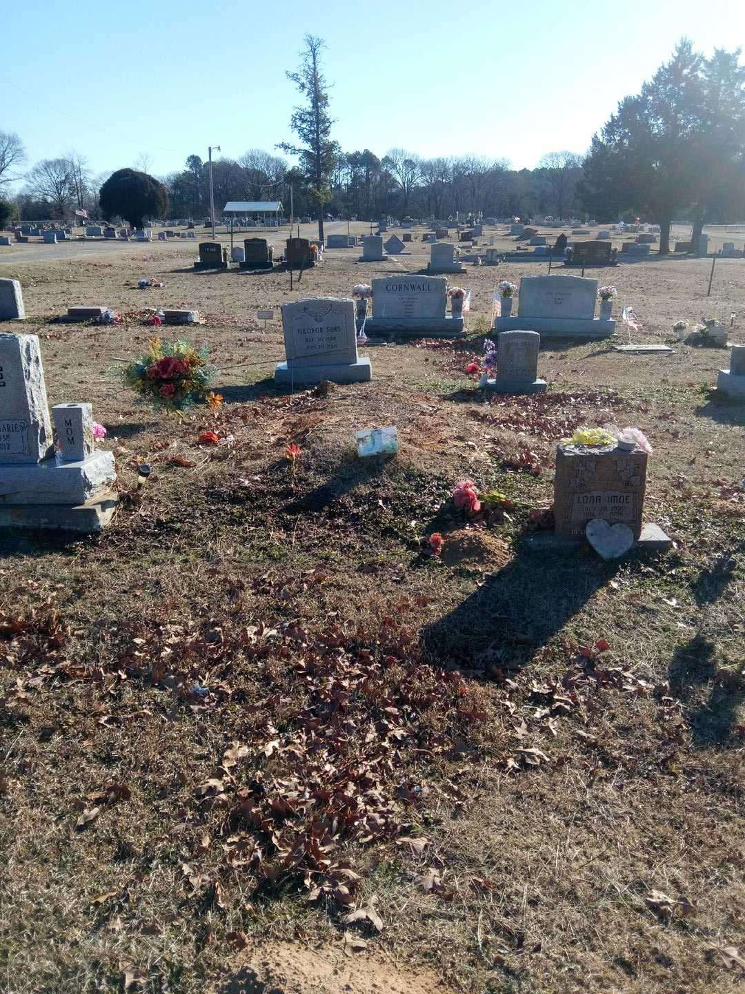 Donald Imoe's grave. Photo 2