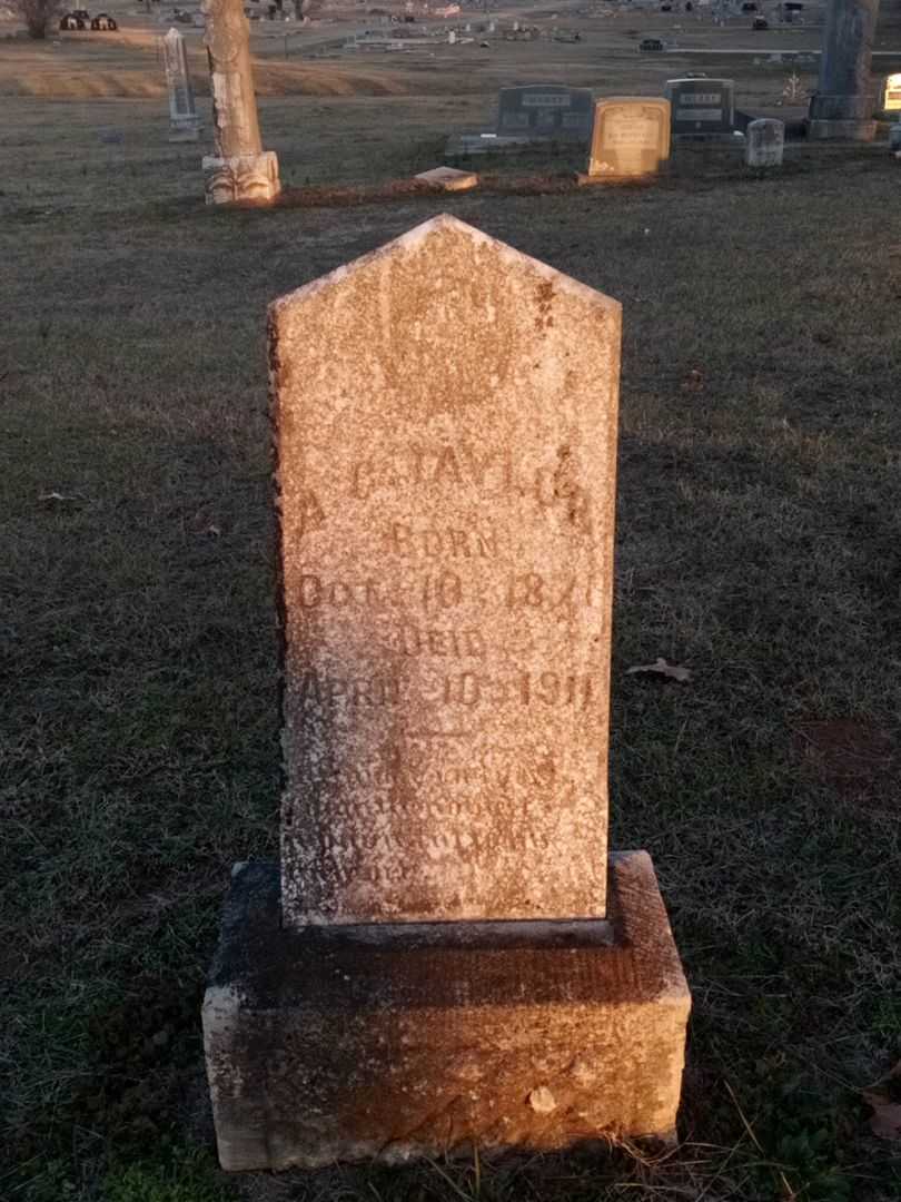 A. C. Taylor's grave. Photo 1