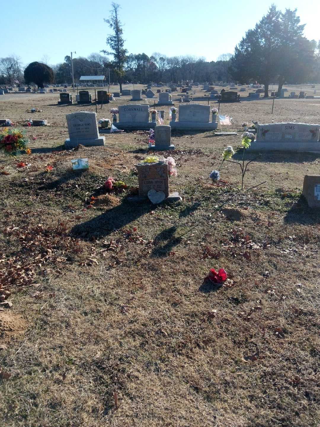 Lona Imoe's grave. Photo 2