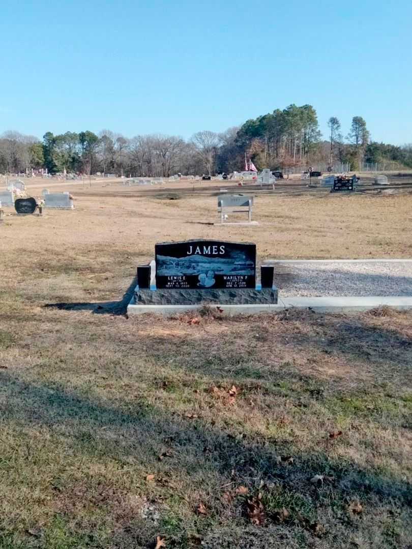 Lewis Eugene James's grave. Photo 2