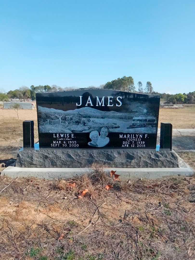 Lewis Eugene James's grave. Photo 3
