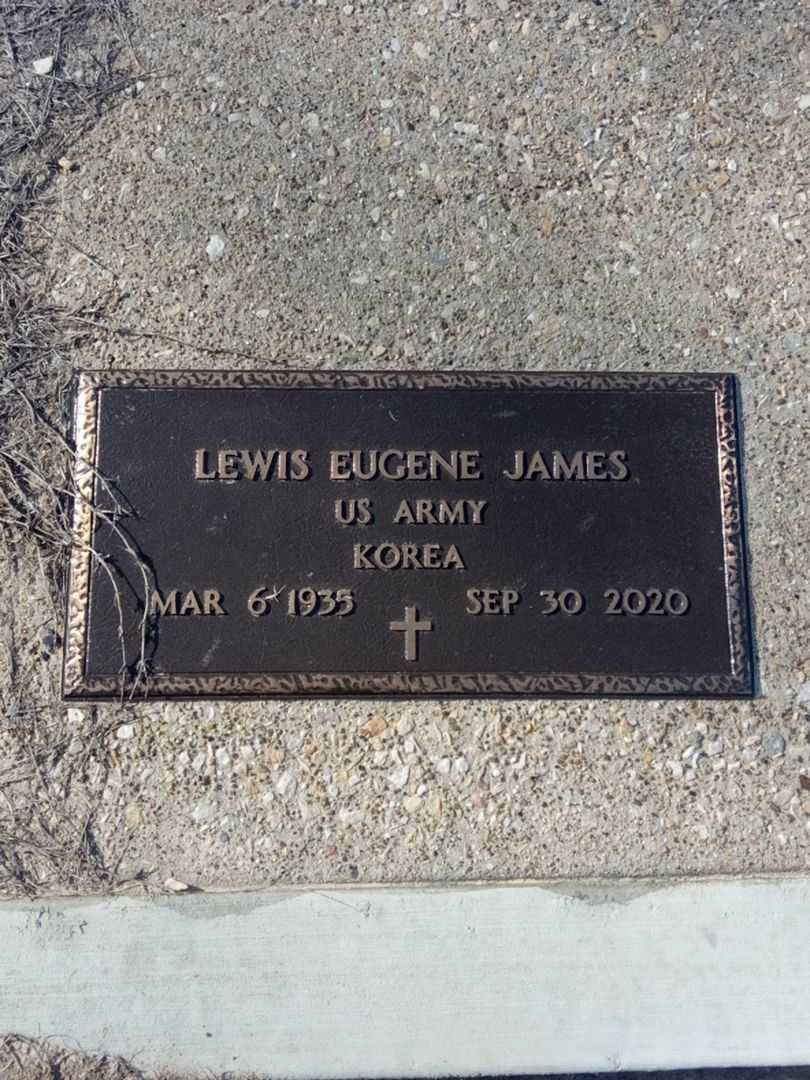 Lewis Eugene James's grave. Photo 5