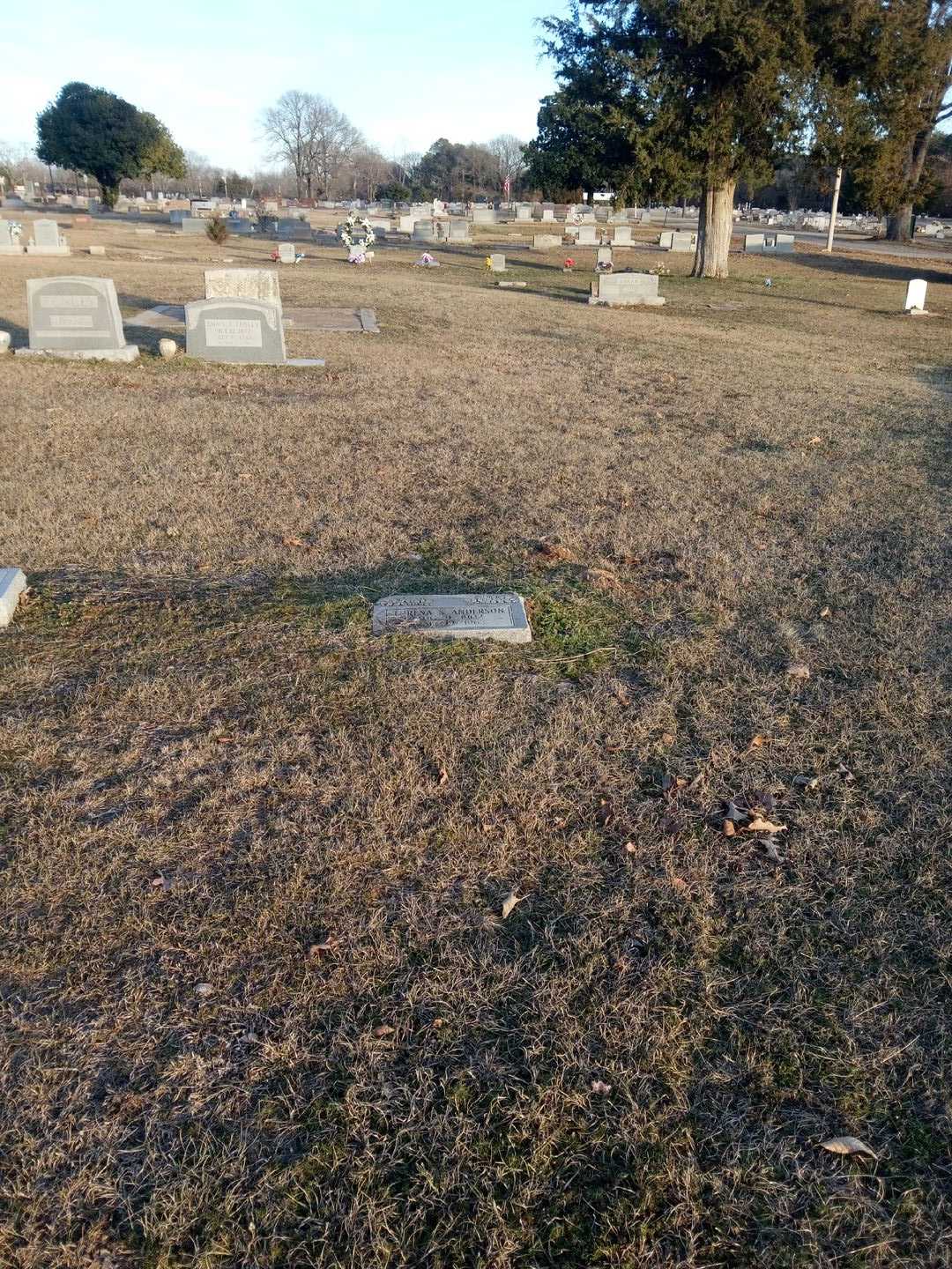 Lorena S. Anderson's grave. Photo 2