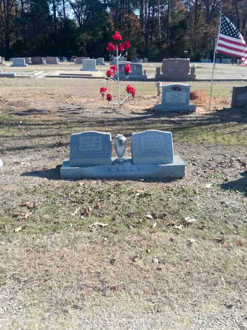 Albert W. Walls's grave. Photo 2