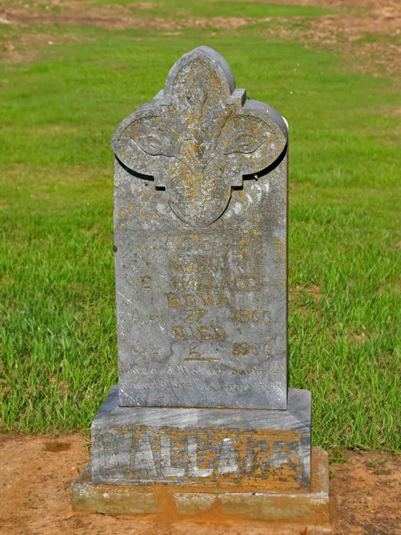 E. Wallace's grave. Photo 3