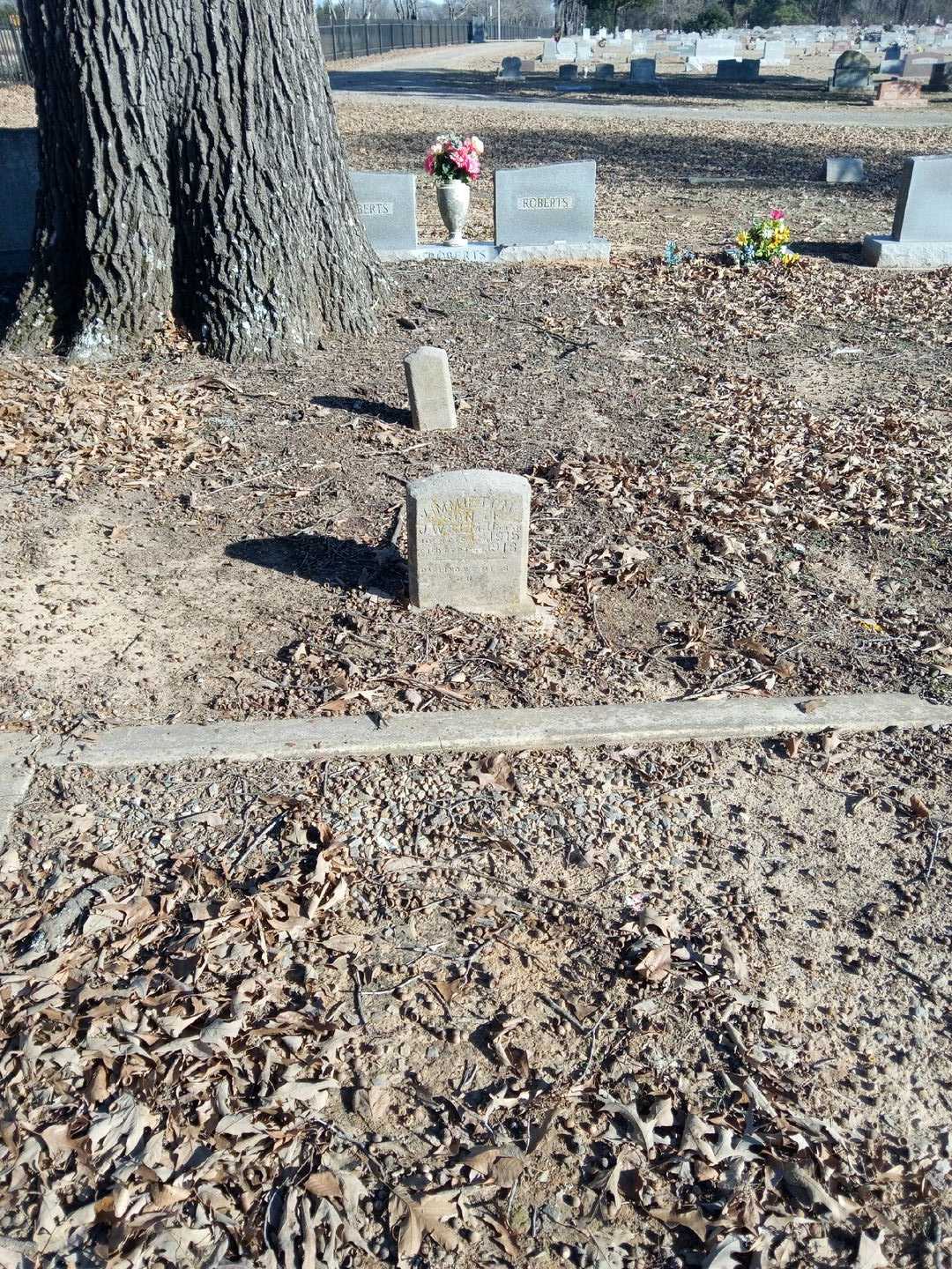 Jimmie Toni Upton's grave. Photo 2