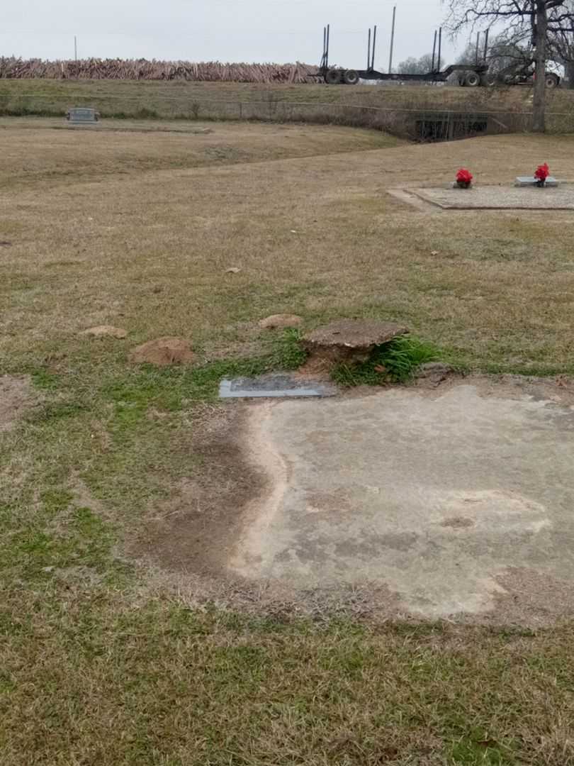 Betty A. Fanning's grave. Photo 2