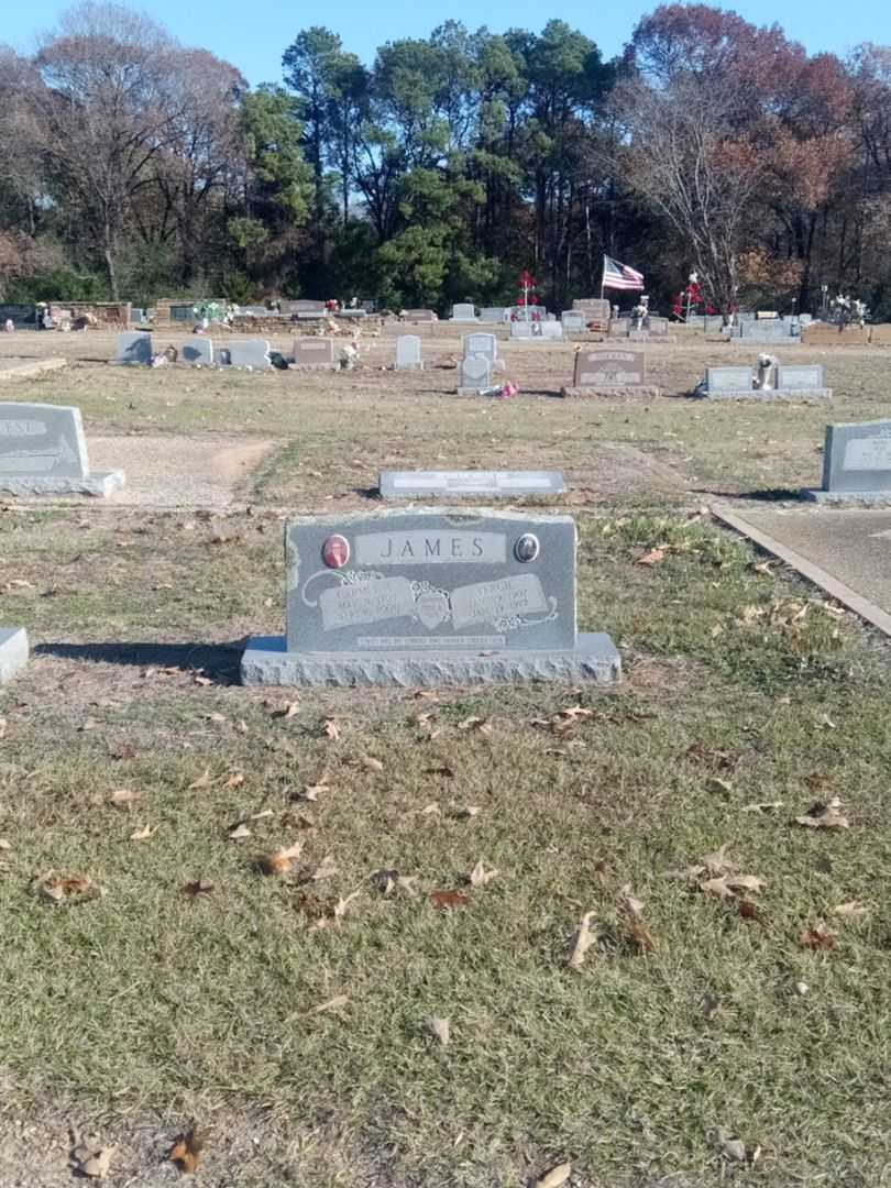 Vergil James's grave. Photo 2