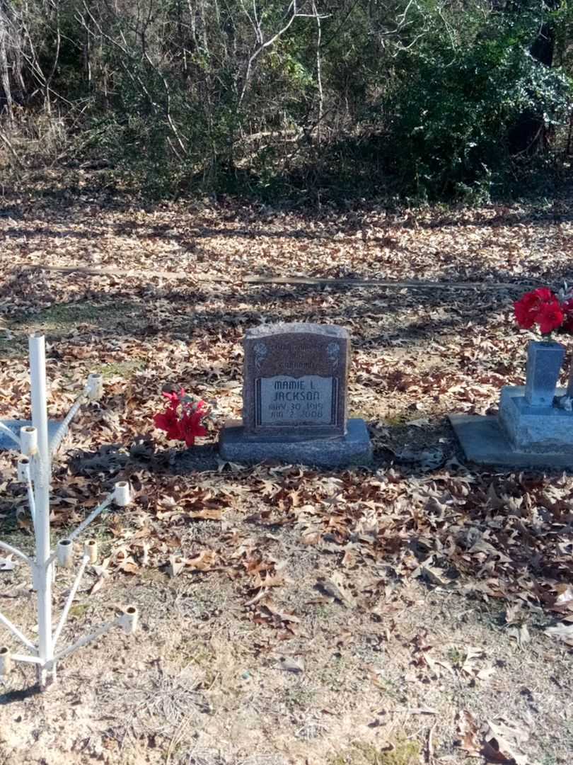 Mamie L. Jackson's grave. Photo 2