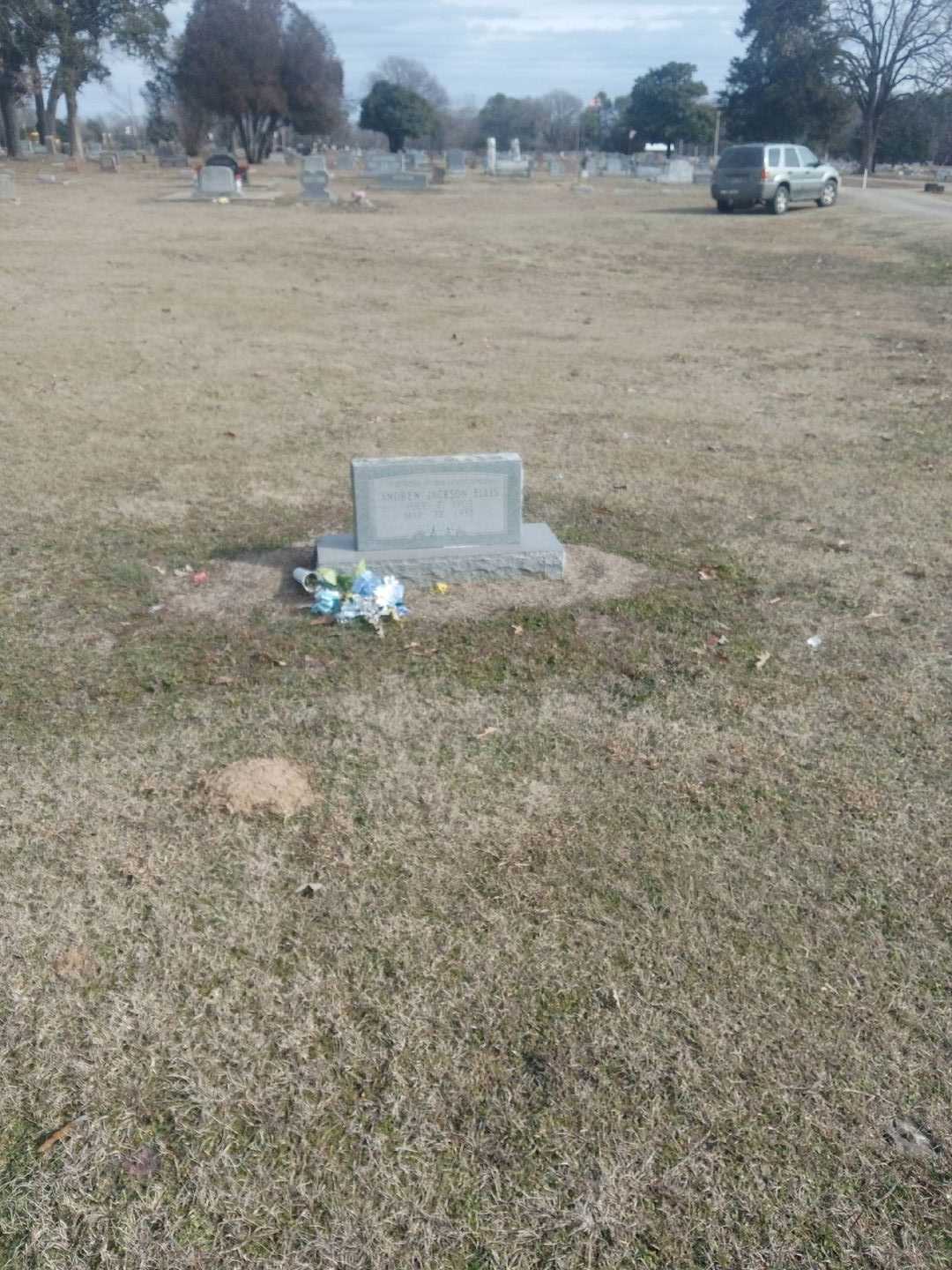 Andrew Jackson Ellis's grave. Photo 2