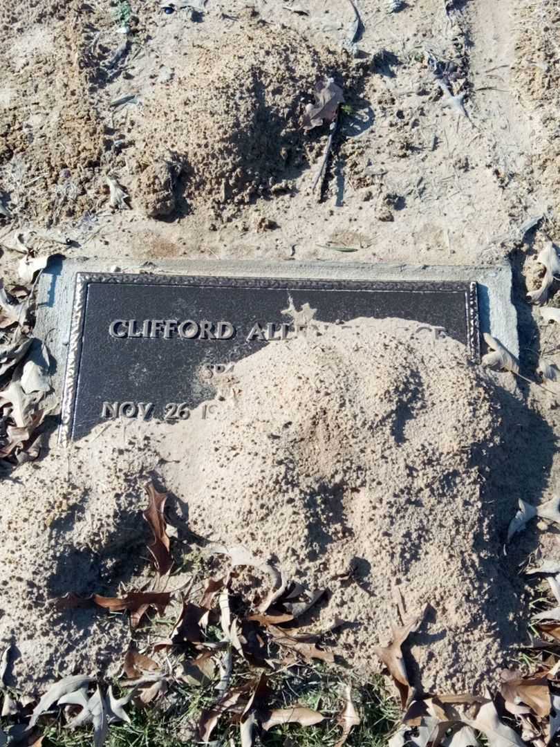 Clifford Allen Elledge's grave. Photo 3