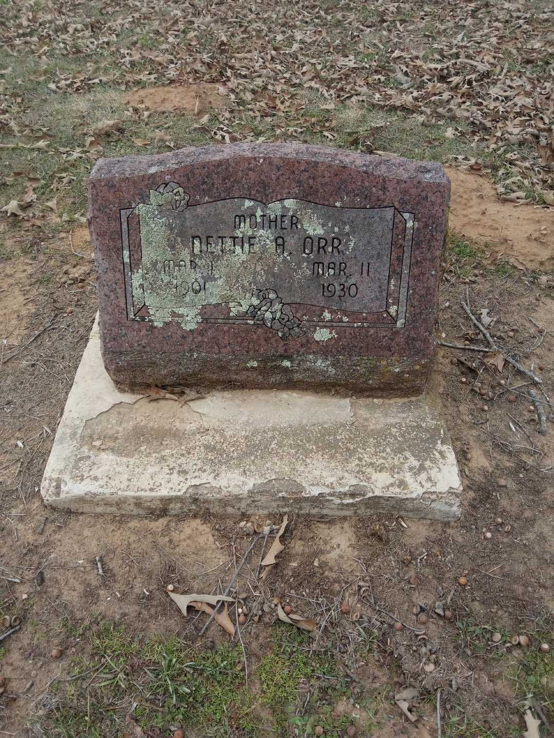 Nettie A. Orr's grave. Photo 1