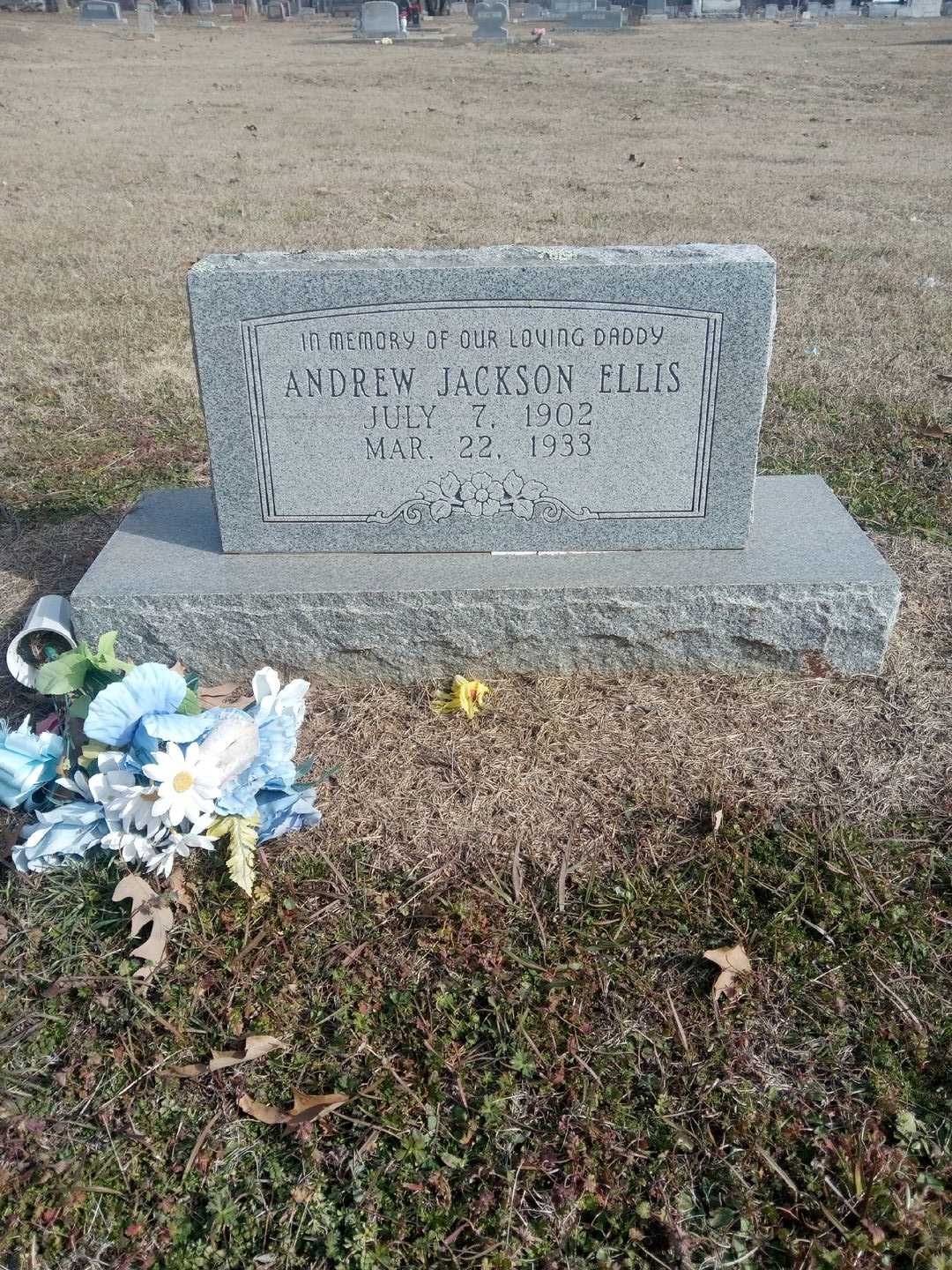 Andrew Jackson Ellis's grave. Photo 1