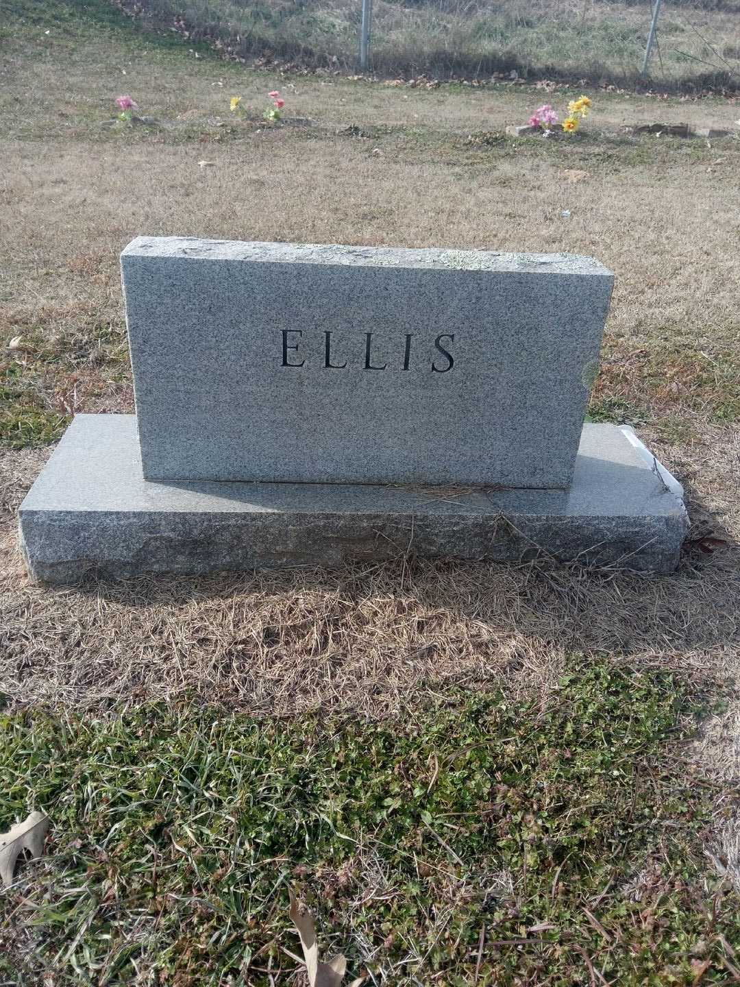 Andrew Jackson Ellis's grave. Photo 3