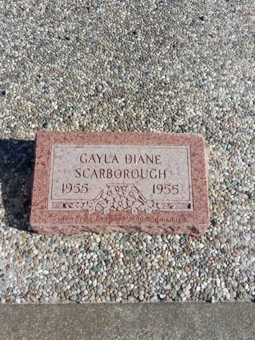 Gayla Diane Scarborough's grave. Photo 1