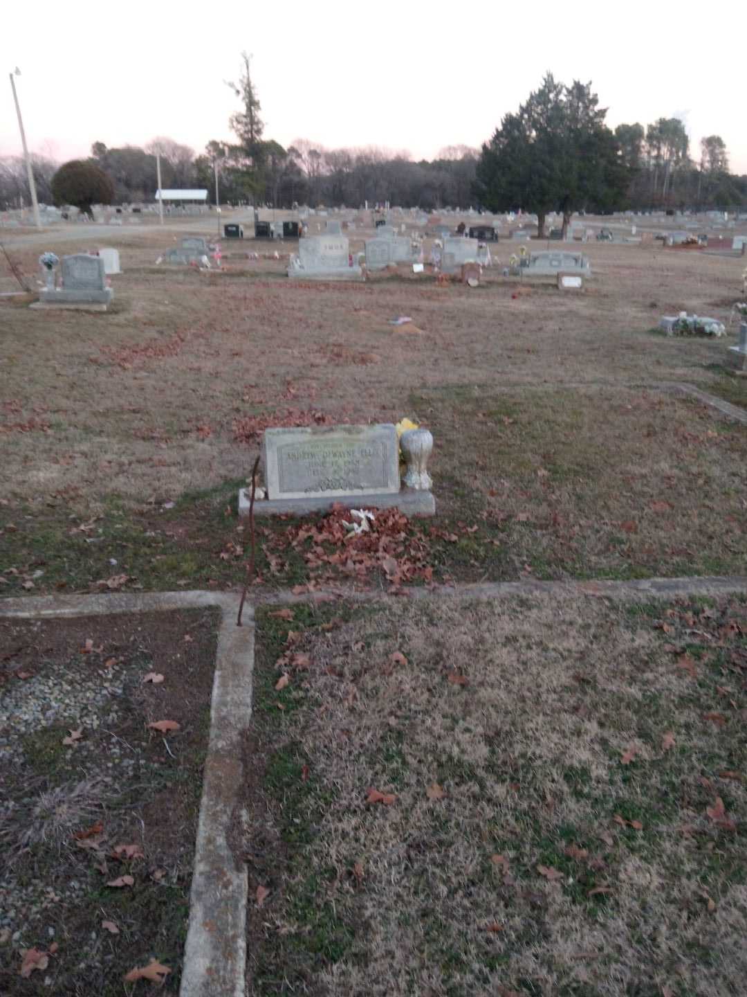 Andrew Dewayne Ellis's grave. Photo 2