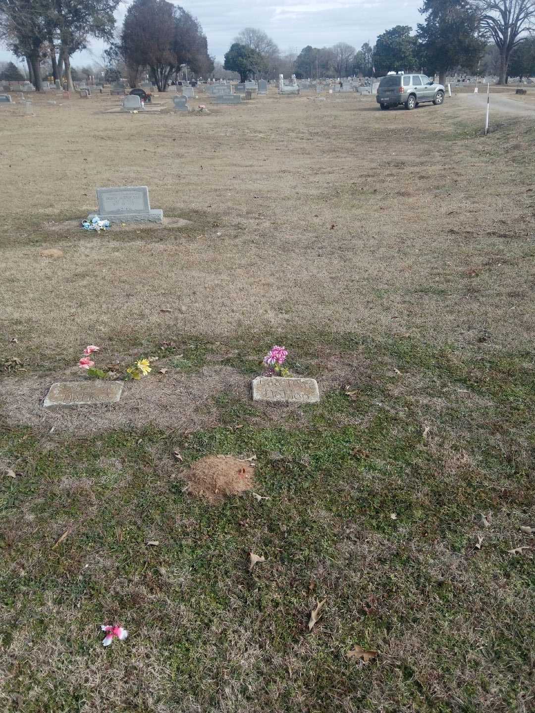 Ida Mae Nation's grave. Photo 2