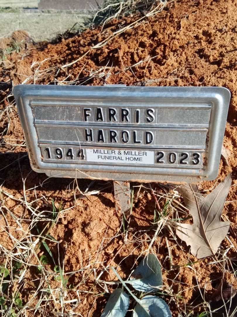 Harold Farris's grave. Photo 4